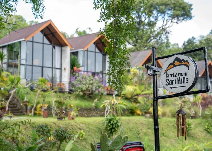 Sari Hills